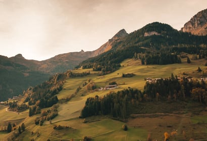 Forest scent & mountain air